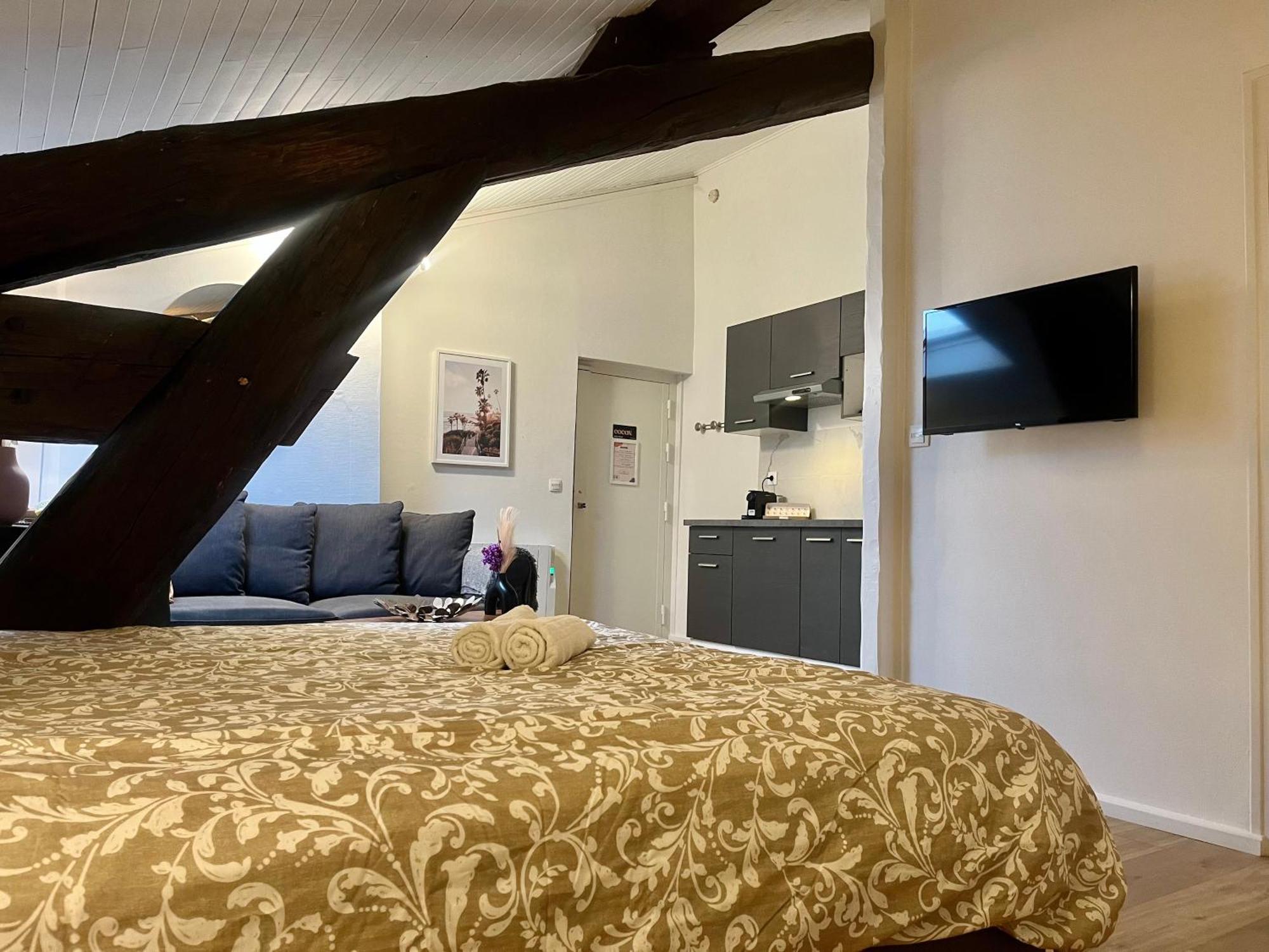 Suite Polkka Лион Екстериор снимка